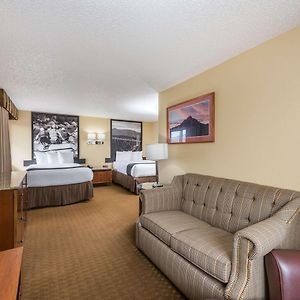Studio Suite Two Double Beds Non-Smoking